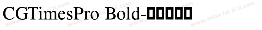 CGTimesPro Bold字体转换